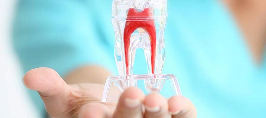 endodonzia e odontoiatria conservativa